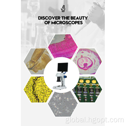 Camera Video Microscope New Arrival SDM Digital Microscope with LCD Screen Supplier